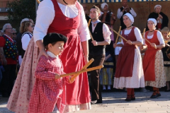 IMG-6210
