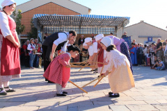 IMG-6215