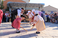 IMG-6216