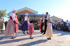 IMG-6219