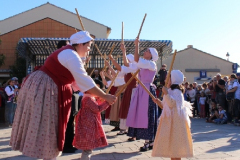 IMG-6221