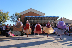 IMG-6233