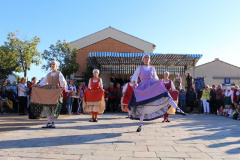 IMG-6234