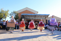 IMG-6235