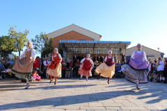 IMG-6236