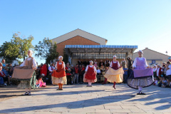 IMG-6237