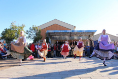 IMG-6239