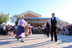IMG-6241