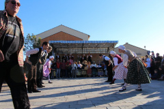 IMG-6243