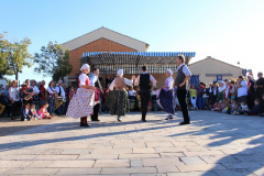 IMG-6244