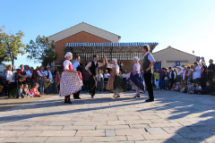 IMG-6245