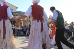 IMG-6248
