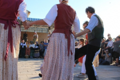 IMG-6249