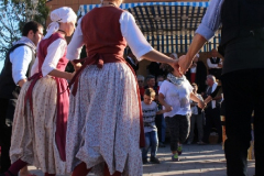 IMG-6251