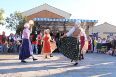 IMG-6252