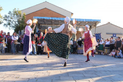 IMG-6253