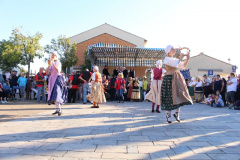 IMG-6254