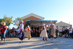 IMG-6255