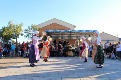 IMG-6256