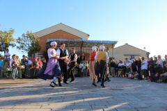 IMG-6260