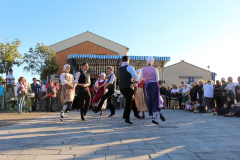 IMG-6261
