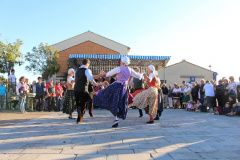IMG-6262
