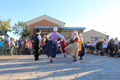 IMG-6263