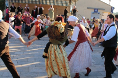 IMG-6266