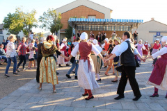 IMG-6268