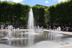 IMG-7711