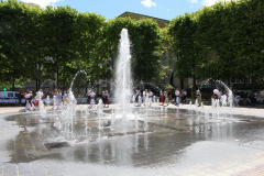 IMG-7712