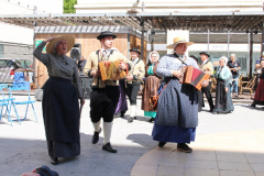 IMG-7729