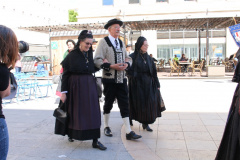 IMG-7731