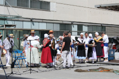 IMG-7736