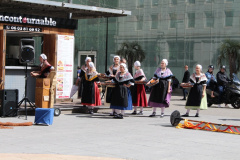IMG-7737