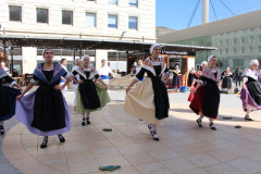 IMG-7746