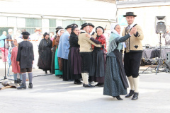 IMG-7784