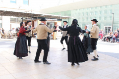 IMG-7786