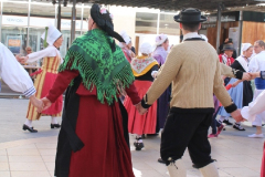 IMG-7801