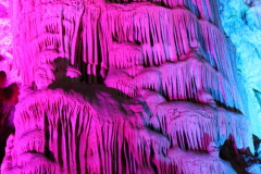 IMG_1112