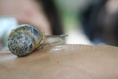 IMG_4745
