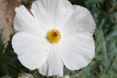 IMG_4751