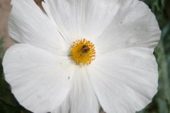 IMG_4752