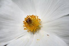 IMG_4753