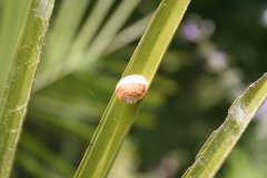 IMG_4754