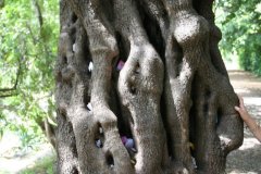 IMG_4804