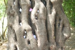 IMG_4805