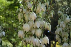 IMG_4895