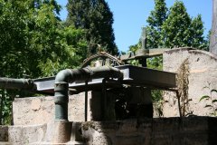 IMG_4982