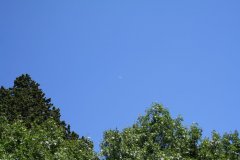 IMG_5034